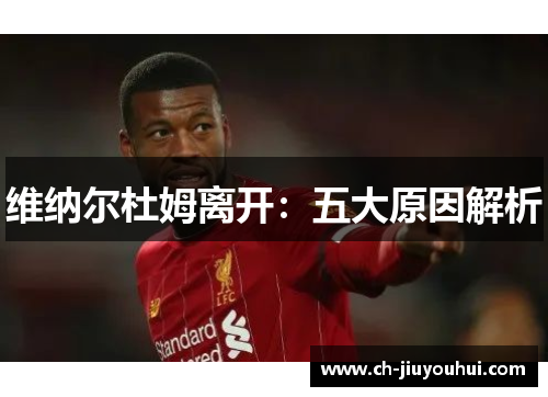 维纳尔杜姆离开：五大原因解析